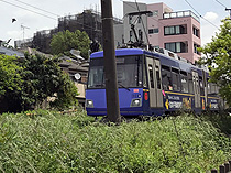 世田谷線世田谷駅徒歩１分